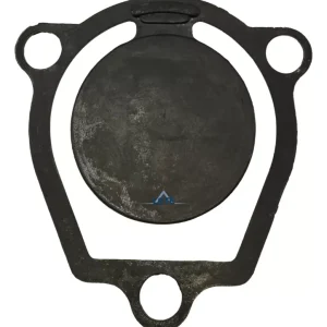 Válvula Entrada P/motobomba Bfd 2 Plus Auto-esc Buffalo 1012
