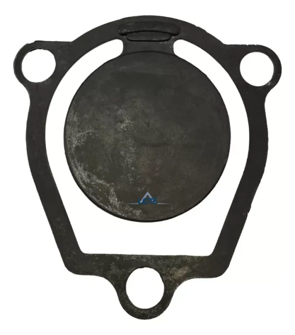 Válvula Entrada P/motobomba Bfd 2 Plus Auto-esc Buffalo 1012