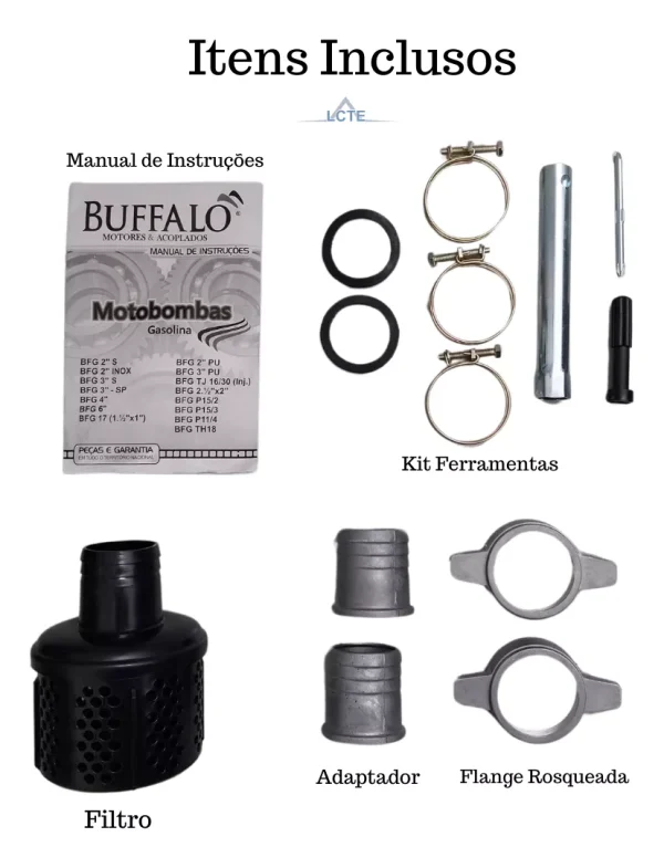 Motobomba Auto Escorvante Buffalo 2 Pol Partida Manual 7cv - Imagem 5